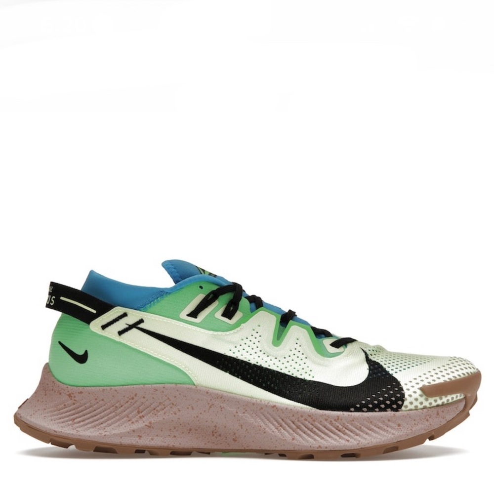 Nike Pegasus Trail 2